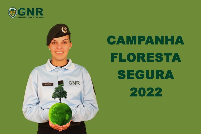 Campanha_-_Floresta_Segura_2022.jpg