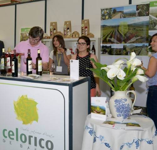 Celorico - vinhos