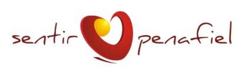 Penafiel logo