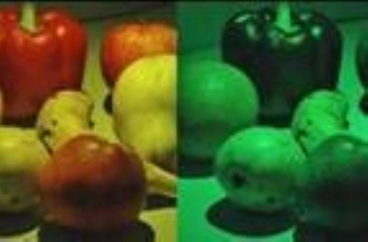 Universidade do Minho quer criar lentes para daltónicos