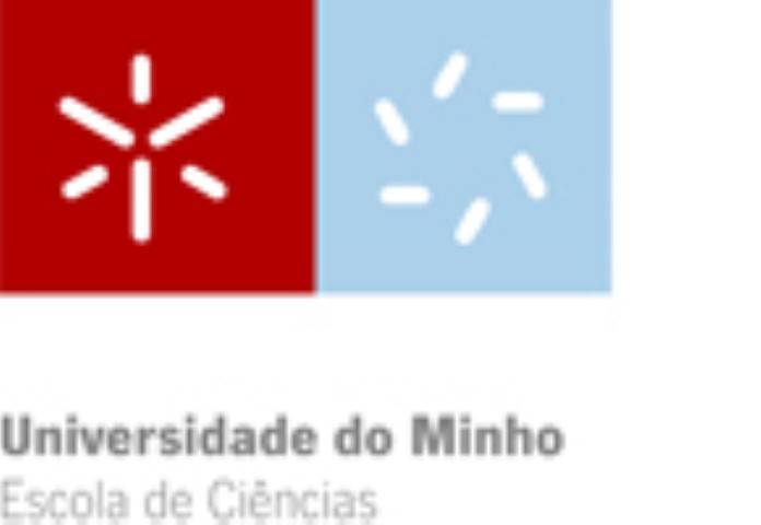 Universidade do Minho