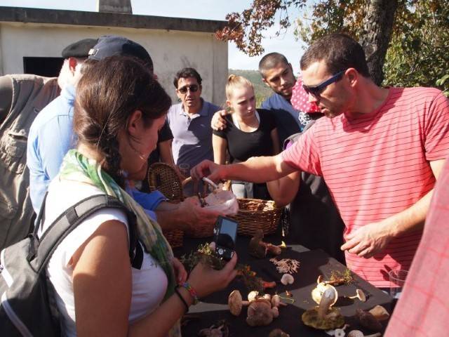 V Encontro Micologico em Mondim de Basto