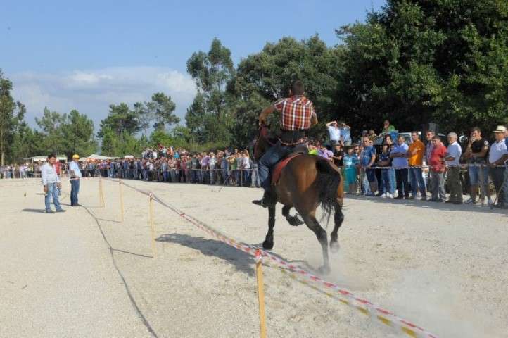 Celorico de Basto reutiliza antigo campo de Sernadas (2)