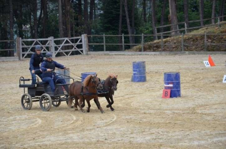 Feira do Cavalo em Cabeceiras de Basto (1)