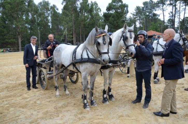 Feira do Cavalo em Cabeceiras de Basto (2)