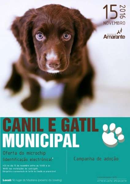 Cartaz - Canil Gatil Municipal