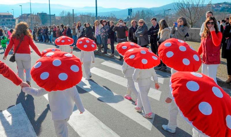 Centros Urbanos de Celorico de Basto receberam a folia do Carnaval (1)