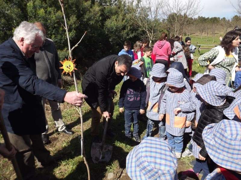 Dia da Floresta assinalado em Penafiel (1)