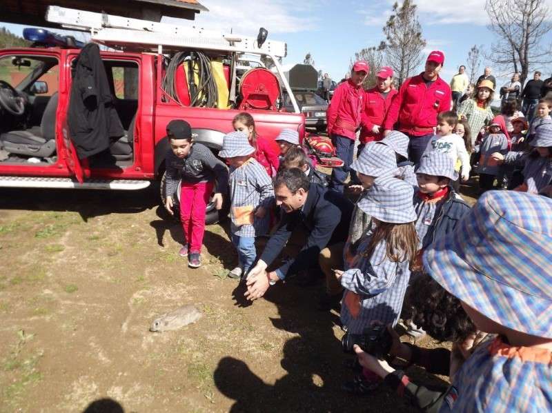 Dia da Floresta assinalado em Penafiel (2)