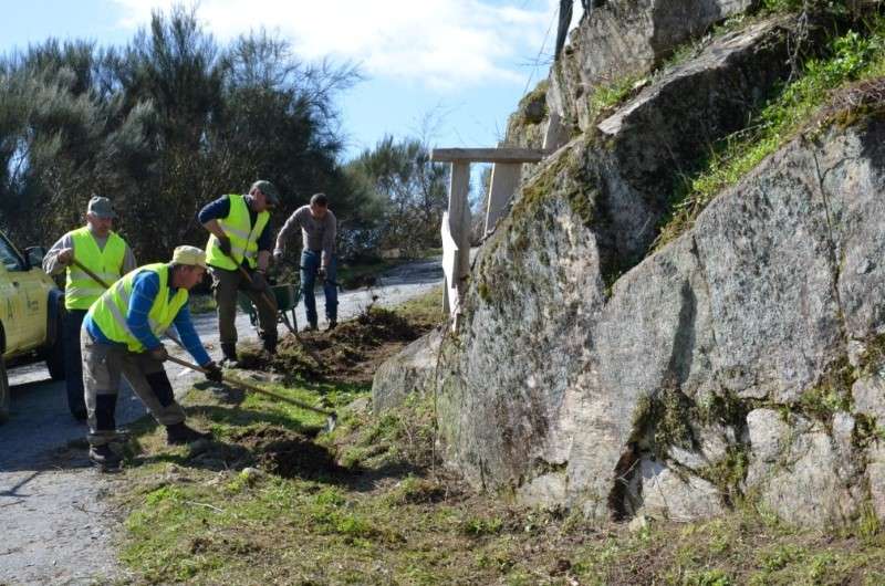 Freguesias de Cabeceiras limpam estradas (2)