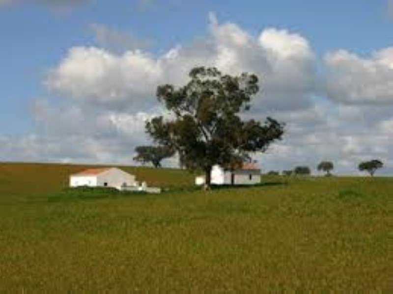 IMI baixa em terrenos agricolas