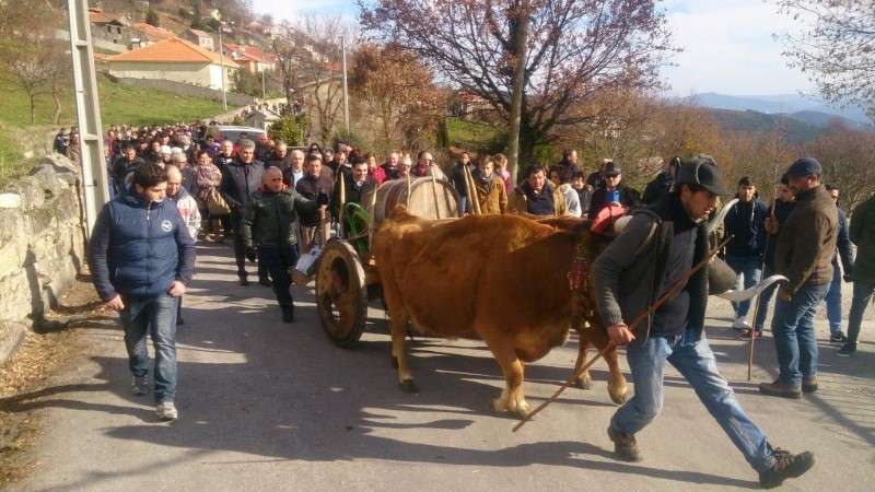 Festa das Papas - cortejo