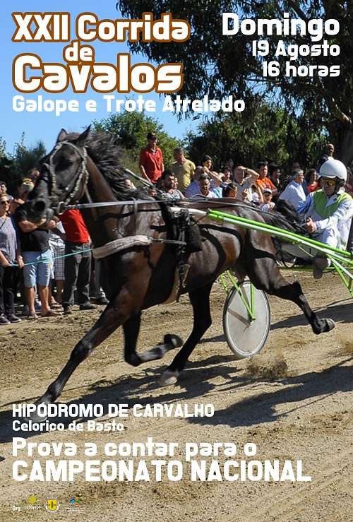 Corrida de Cavalos em Celorico de Basto