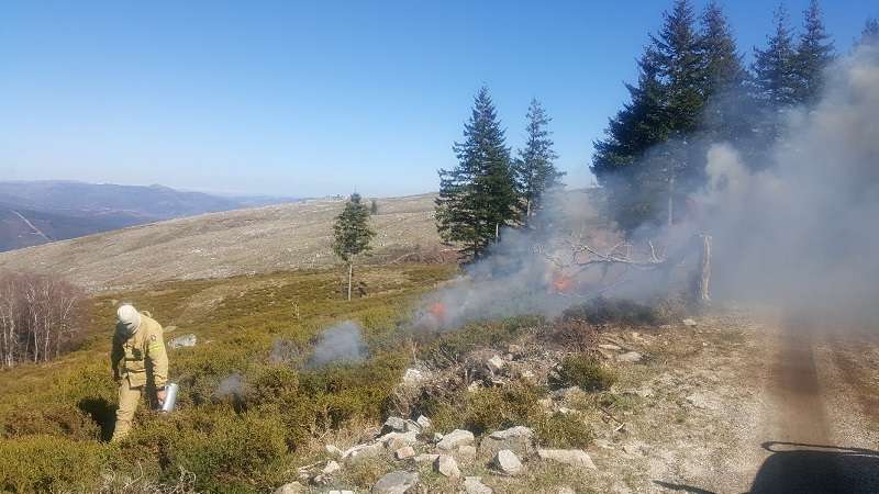 Fogo controlado em Cabeceiras de Basto