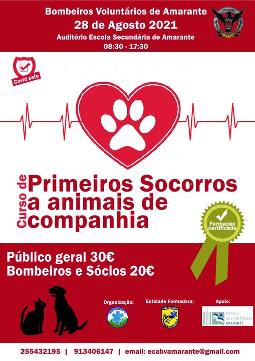 Primeiros Socorros Animais