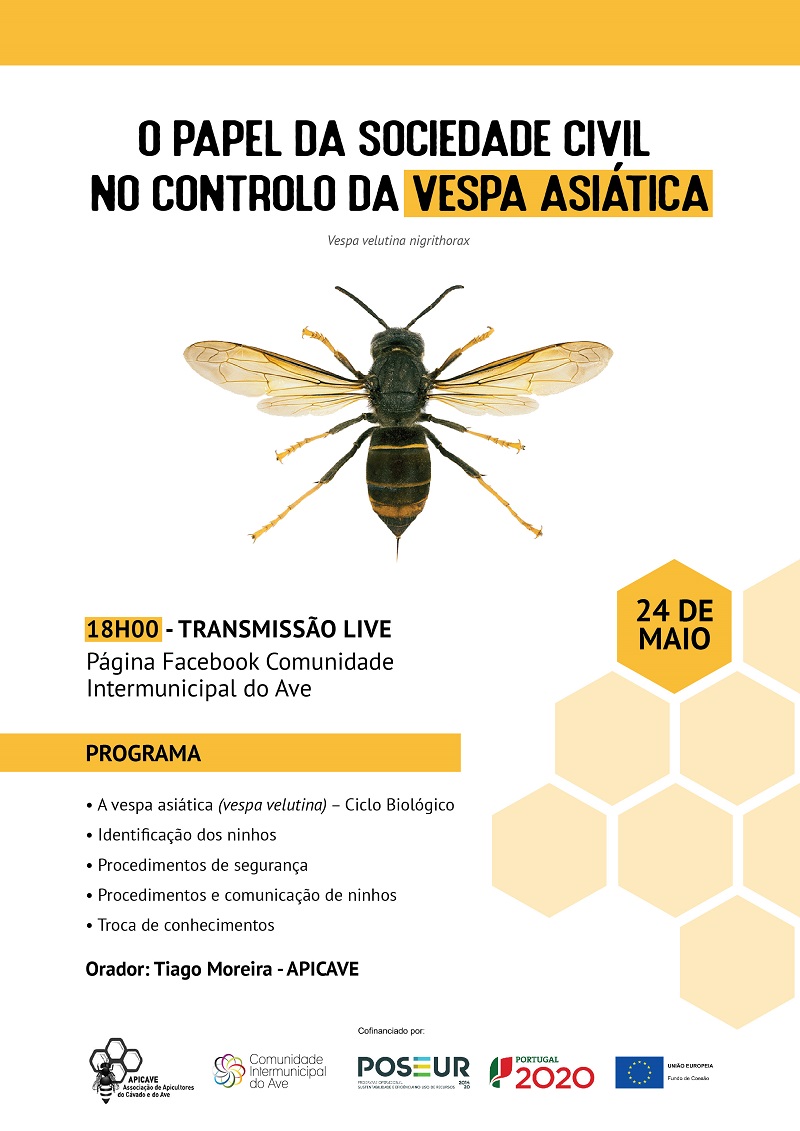 vespavelutina cartaz