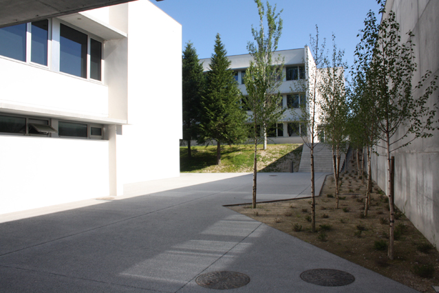 escola secundria de amarante